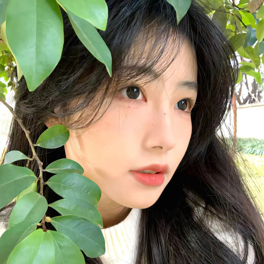 女鲁滨孙漂流记